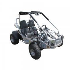 Adult All Terrian 300cc Go Kart