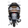 Trike Motorcycle 300cc Gas Scooter 