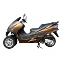 Trike Motorcycle 300cc Gas Scooter 