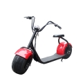 Big City Electric Scooter Manufacture 