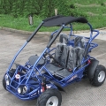 Kids Petrol Buggy 200cc Factory Price 