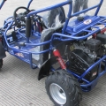 Kids Petrol Buggy 200cc Factory Price 