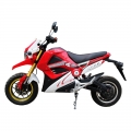 Best Electric Powered E Motorbike 