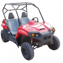 150 Side By Side UTV