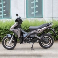 125cc Cup Scooter Motorcycle 13