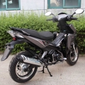 125cc Cup Scooter Motorcycle 13