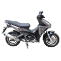 125cc Cup Scooter Motorcycle 13