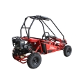 Kids Buggy 50cc Factory price 