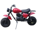 Mini Bike 196CC 4-stroke Motorcycle 
