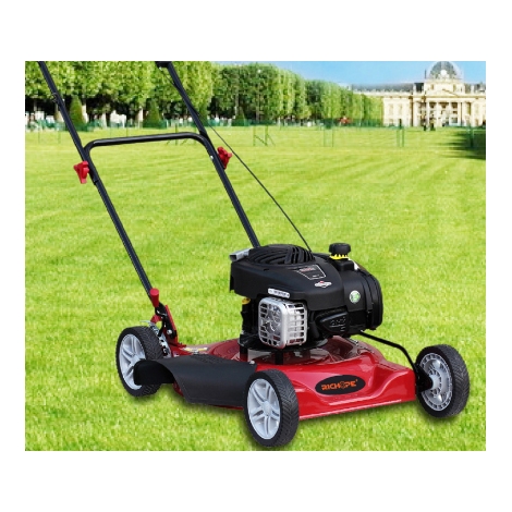 Lawn Mover Engine made by XTM