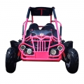XTM G80XR kids go kart with reverse 200cc ce 4-stroke hydraulic brake 