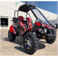 XTM GB200 EX single cylinde go kart automatic CTV with reverse 